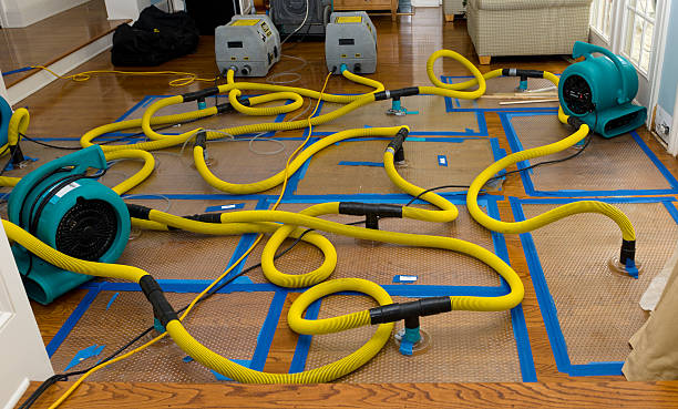 Professional Basement Flood Cleanup technician working in Norton, VA